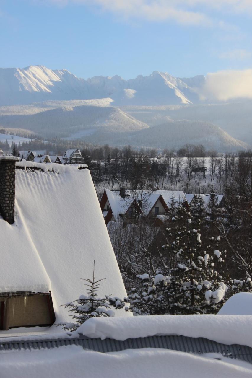 Willa Pod Zielonym Wierchem Zakopane Buitenkant foto
