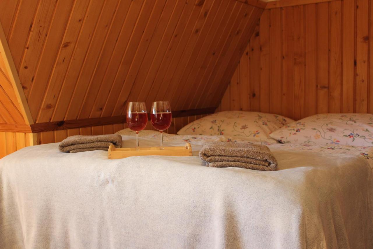 Willa Pod Zielonym Wierchem Zakopane Buitenkant foto