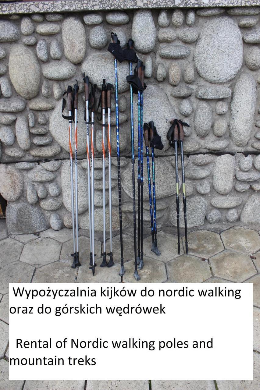 Willa Pod Zielonym Wierchem Zakopane Buitenkant foto